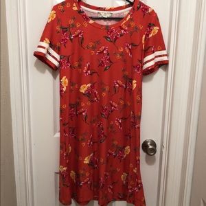 Pink Rose 🌹 Vintage Dress